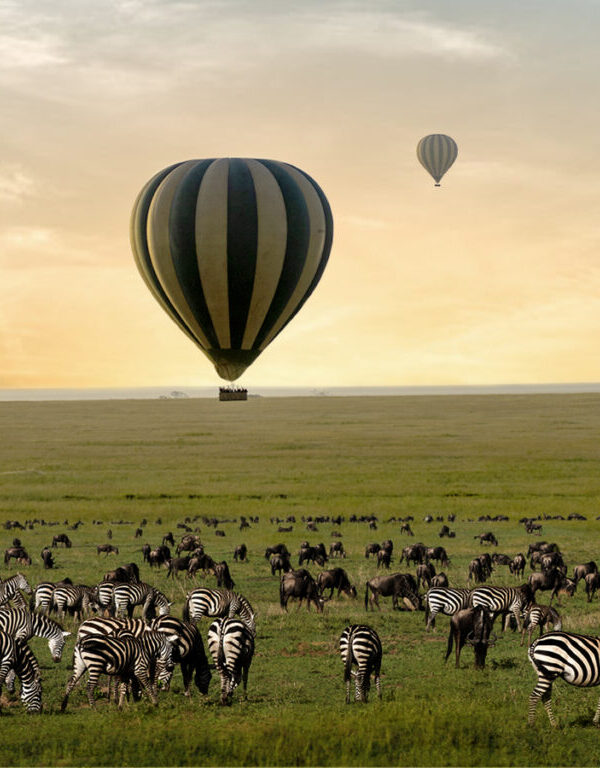 ONH-Balloon-Safari-Blog-3-2023-1024×768-1