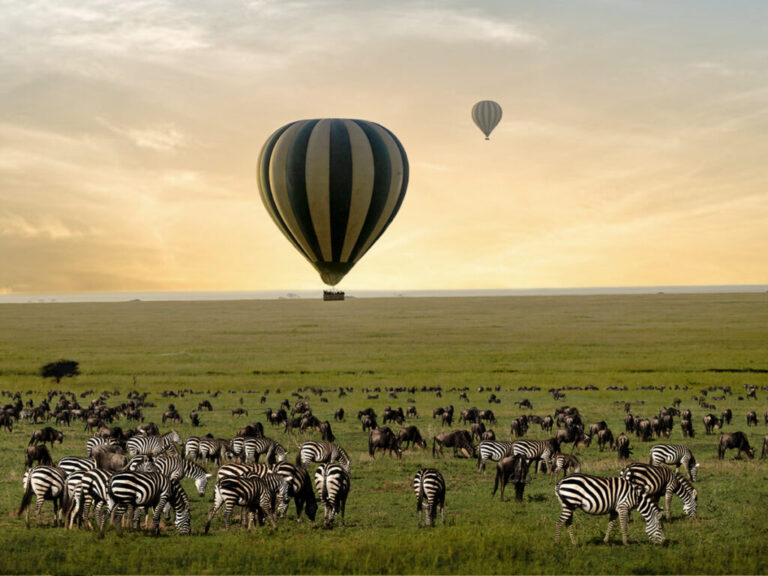 ONH-Balloon-Safari-Blog-3-2023-1024×768-1